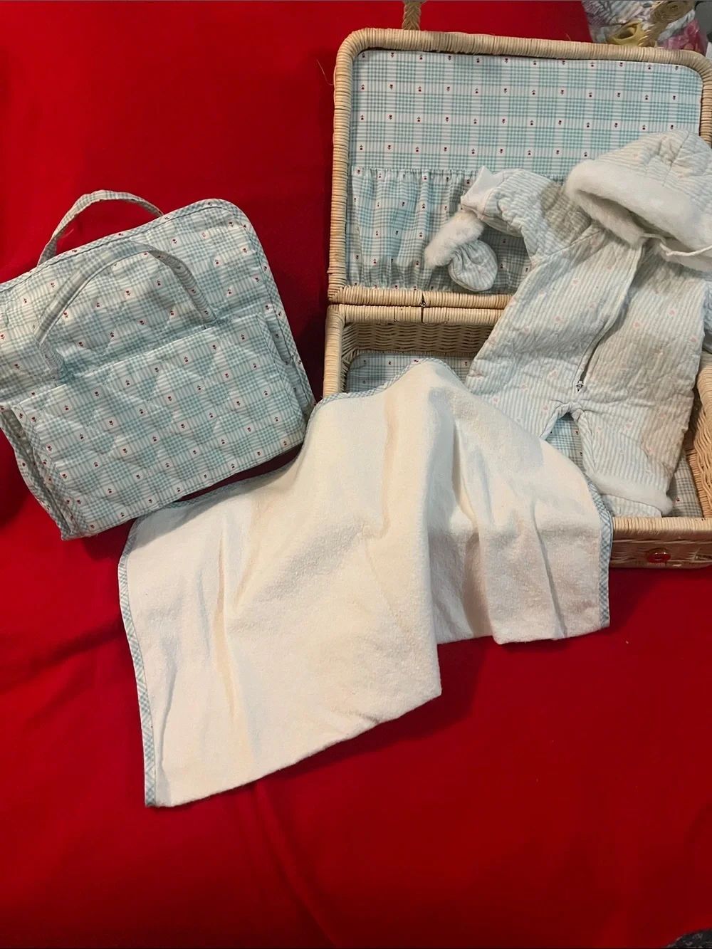 Pleasant company, wicker, travel, case Diaper Bag
